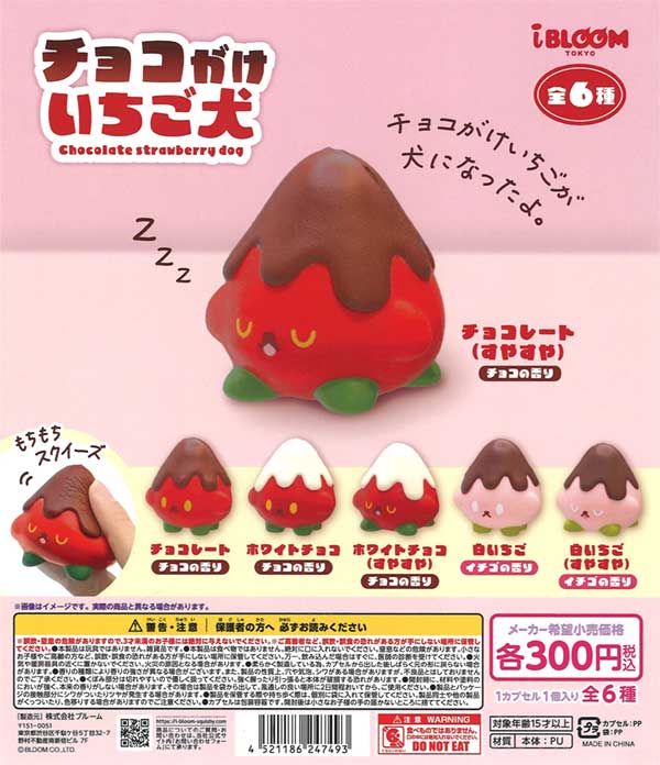 チョコがけいちご犬（40個入り）
